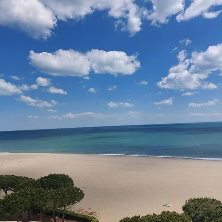 Climatisé Avec Terrasse, Piscine Et Parking, à 700m De La à Argelès-sur-mer - Fr-1-776-4 Argelès-sur-Mer