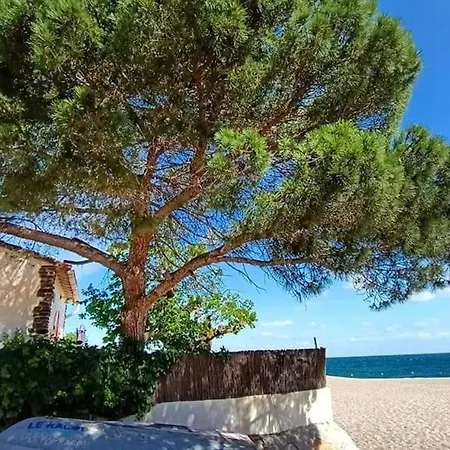 Climatise Avec Terrasse, Piscine Et Parking, A 700m De La A - Fr-1-776-4 أرجيليه- سور- مير