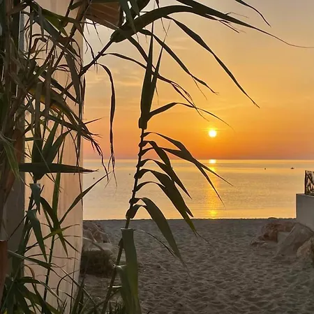 Climatisé Avec Terrasse, Piscine Et Parking, à 700m De La à Argelès-sur-mer - Fr-1-776-4 Appartement