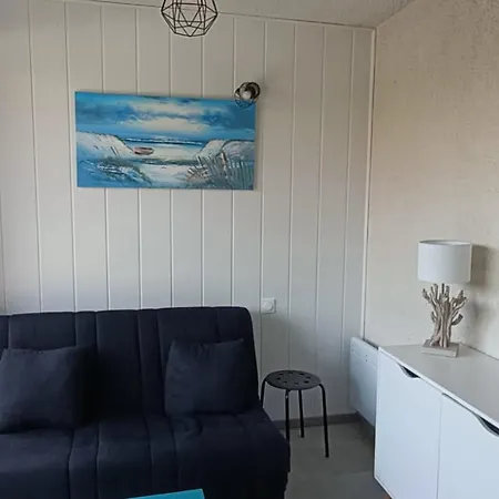 Apartmán Climatise Avec Terrasse, Piscine Et Parking, A 700m De La A - Fr-1-776-4