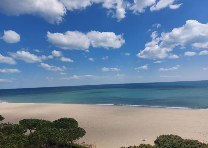 Climatise Avec Terrasse, Piscine Et Parking, A 700m De La A - Fr-1-776-4 Argelès-sur-Mer