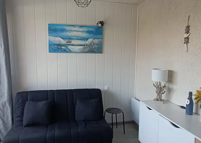Apartment Climatise Avec Terrasse, Piscine Et Parking, A 700m De La A - Fr-1-776-4