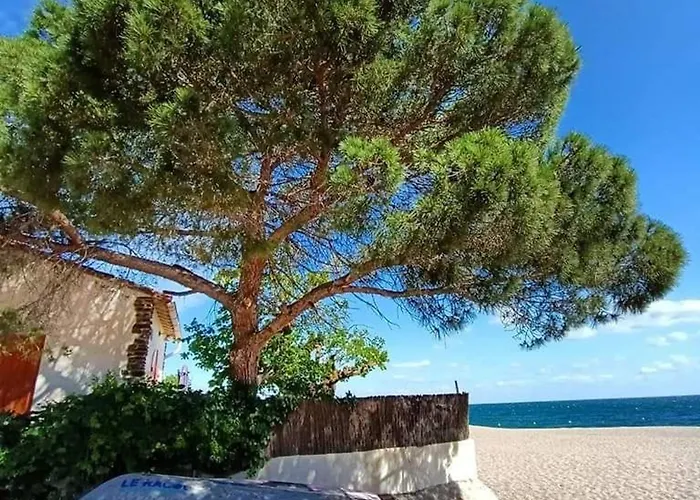 Climatise Avec Terrasse, Piscine Et Parking, A 700m De La A - Fr-1-776-4